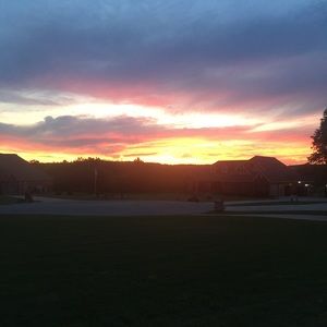 Meet your Posher, Chandler